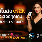 คาสิโน evo2k