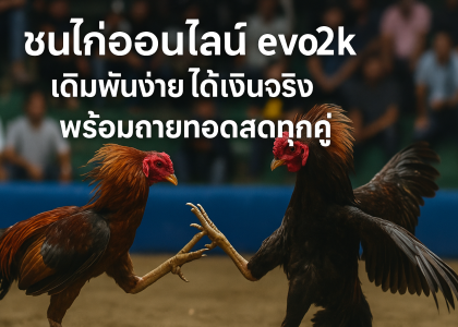 ชนไก่ evo2k