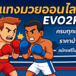 มวย evo2k